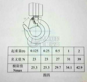 武林環(huán)鏈電動葫蘆